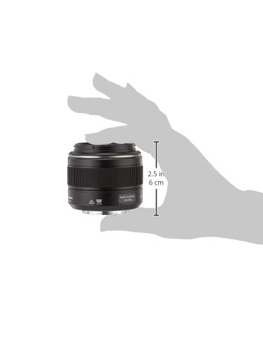 Panasonic Leica DG SUMMILUX H-X025, (25 mm, F1.4)