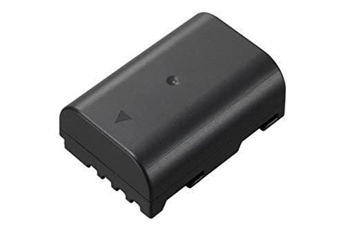 Panasonic Lumix DMW-BLF19, Battery for Panasonic Lumix Cameras (GH4/5/5S/G9 Series)