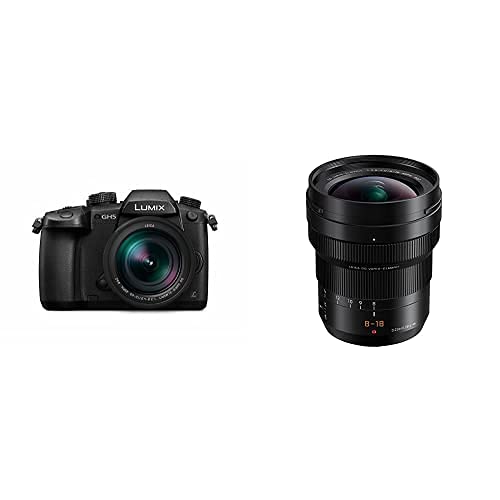 Panasonic Lumix DC-GH5L, 20.3 MP evil camera + Panasonic Leica DG Vario-ELMARIT H-E08018 + wide angle for M4/3 mount cameras