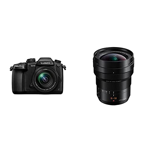 Panasonic Lumix GH5M, böse Kamera mit 20,3 MP + Leica DG Vario-ELMARIT H-E08018 + Weitwinkel für M4/3-Mount-Kameras