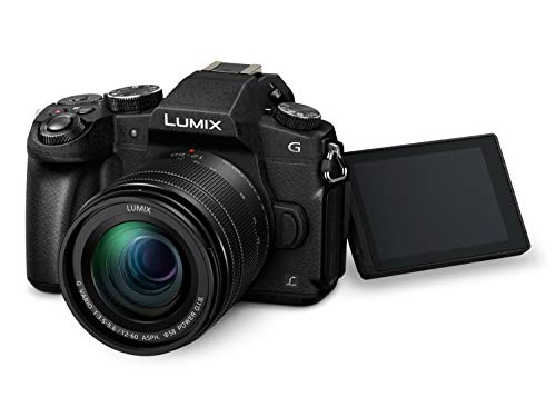 Panasonic Lumix DMC-G80M, 16 MP evil camera + Panasonic Lumix H-H025 + focal lens
