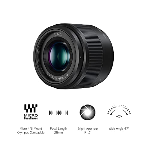 Panasonic Lumix DC-GH5S, 10.28 MP evil camera + Lumix H-H025 + fixed focal length for M4/3 mount cameras