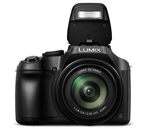 Panasonic Lumix DC-FZ82, cámara Bridge de 18.1 MP con F2.8-5.9 de 20-1200 mm + funda para cámara de fotos réflex