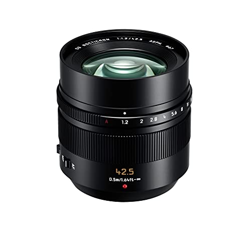 Panasonic Leica DG NOCTICRON H-HS043 (42.5mm, F1.2) (2022