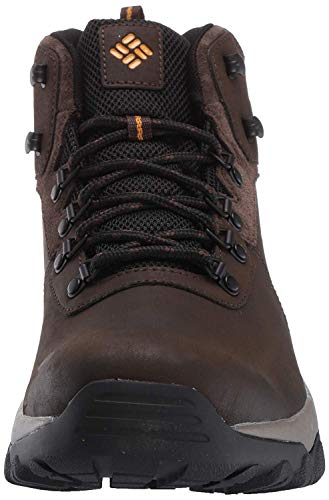Columbia, Newton Ridge Plus II, botas impermeables para hombre, verde marrón