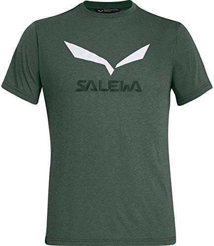 Salewa Solidlogo, men's t-shirt, green