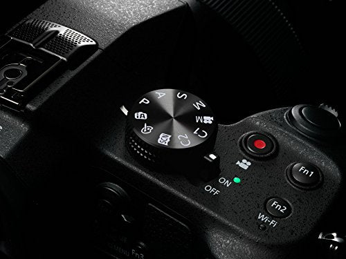 Panasonic Lumix DMC FZ1000, cámara Bridge de 20.1 MP, con F2.8-F4 de 25- 400 mm