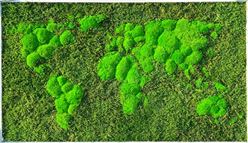Moss World 3D Framed Map, Stabilized Evergreen Forest Moss and Nordic Lichen (112x65 cms)