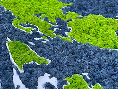Moss World 3D Framed Map, Stabilized Natural Nordic Lichen (112 x 65 cm)