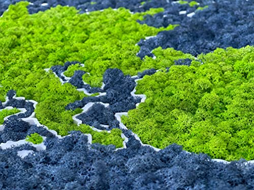Moss World 3D Framed Map, Stabilized Natural Nordic Lichen (112 x 65 cm)