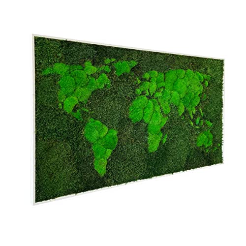 Moss World 3D Framed Map, Stabilized Evergreen Forest Moss and Nordic Lichen (112x65 cms)