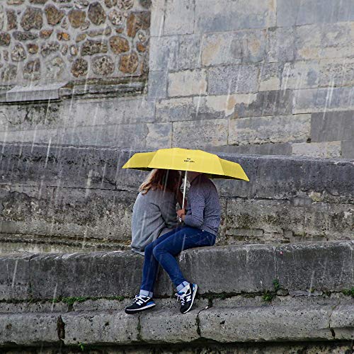 Vicloon Mini Regenschirm 6 Rippen Tragbarer Reiseschirm