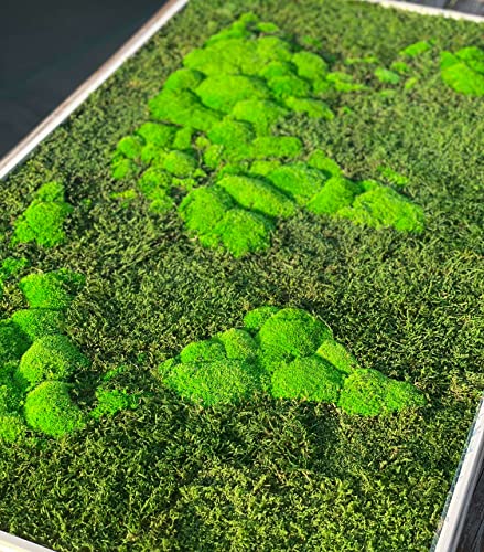 Mapa enmarcada en 3D Moss World, musgo del bosque de hoja perenne estabilizado y liquen nórdico (112x65 cms)